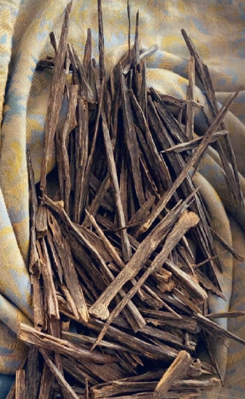 بخور من مدينه أسام نادر سيوفي